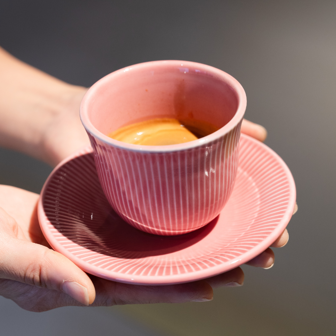 Brewers | 250ml Embossed Tasting Cup